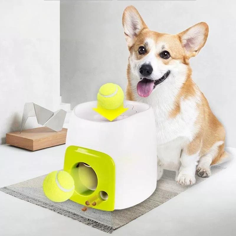 Automatic Ball Launcher