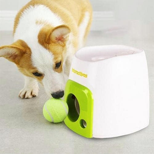 Automatic Dog Ball Launcher