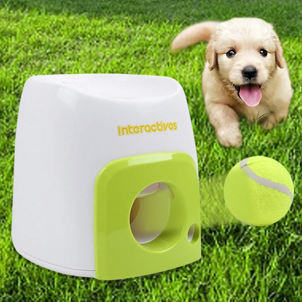 Automatic Dog Ball Launcher