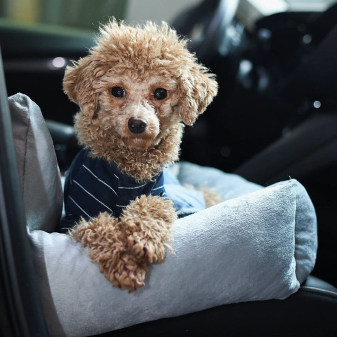 Travel Dog Car Bed