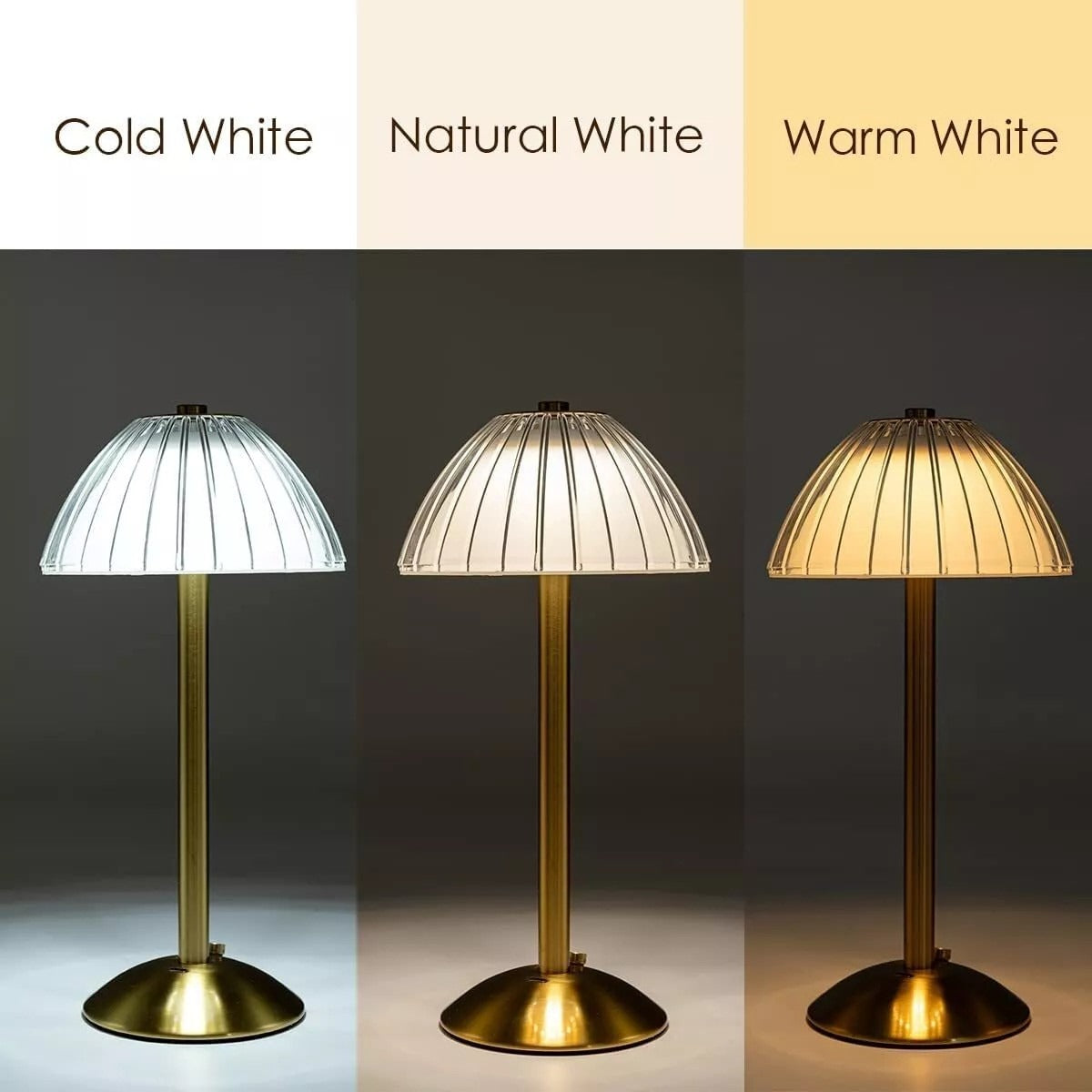 Cordless Dimmable Table Lamp