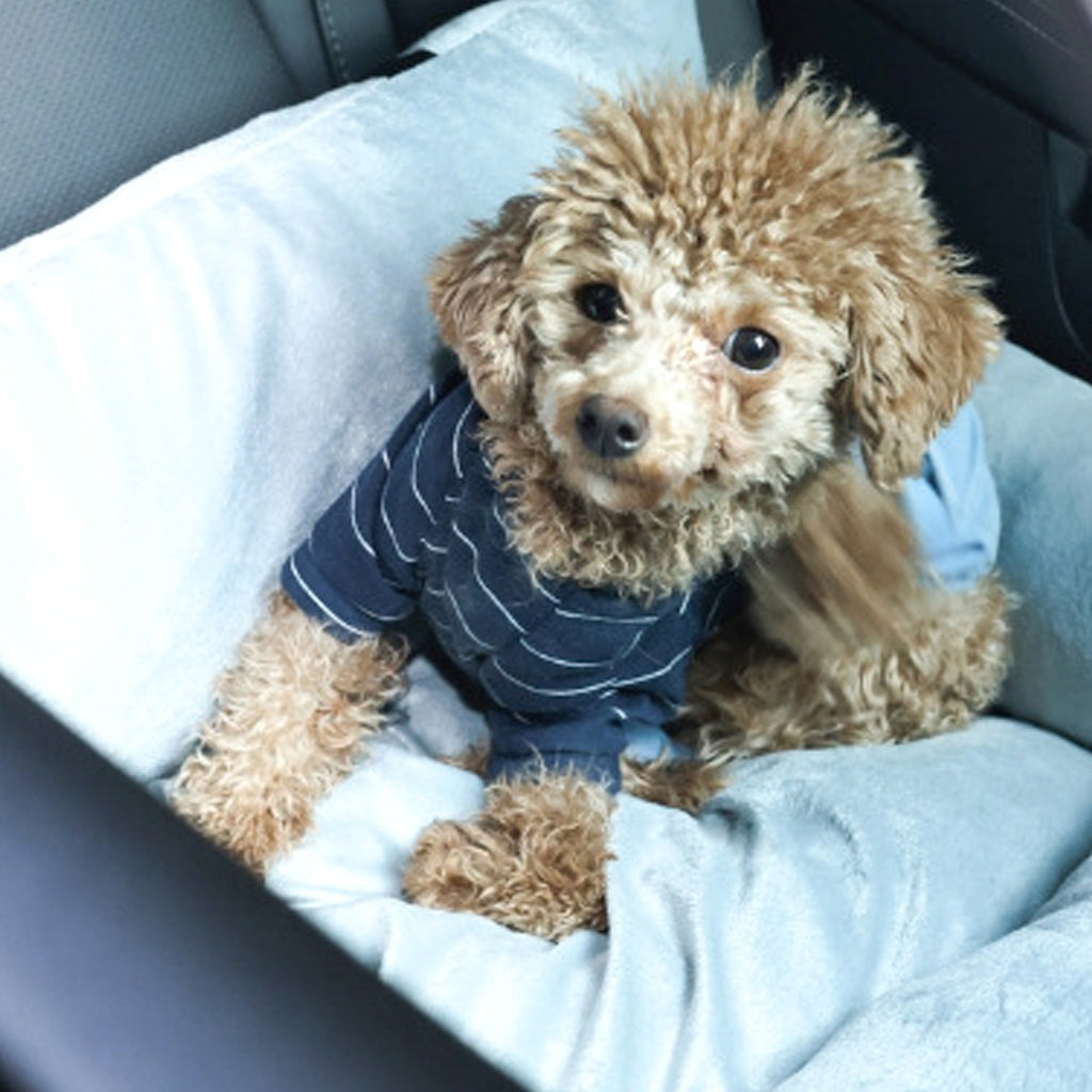 Travel Dog Car Bed